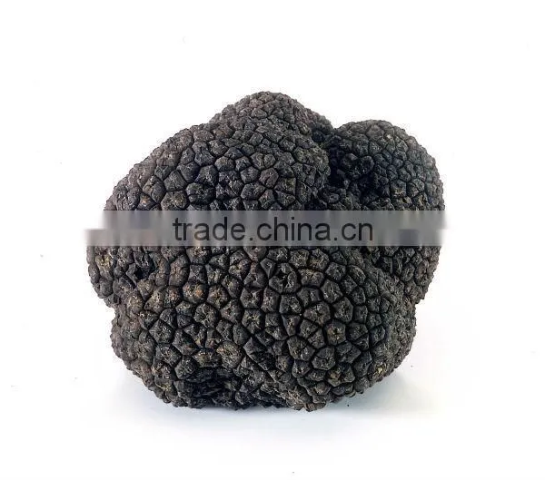 High Quality Wild Black Truffle 100% Wild Truffle for Sale photo-4