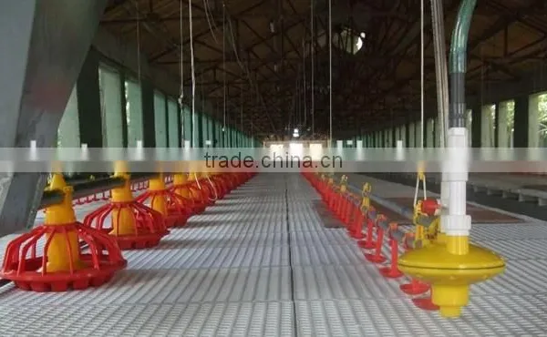 Russia Best Selling Plastic Slat for Duck Goose Poultry photo-3