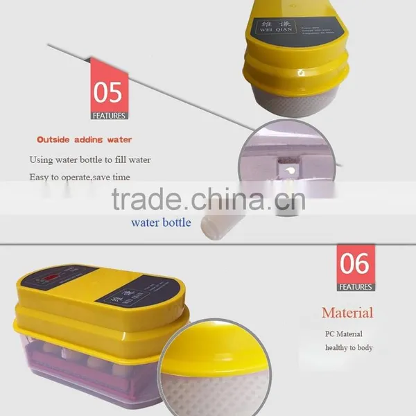 Capacity 12 Eggs Incubator and Hatcher From China