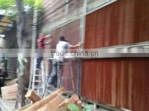 Guangdong Honey Comb Pad For Factory Greenhouse photo-6