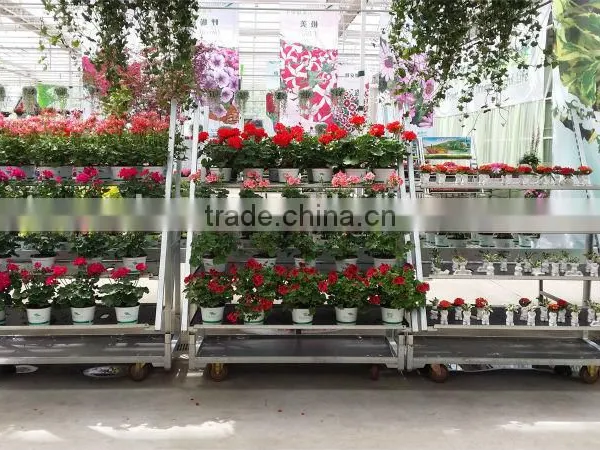 Flower Display Shelf / Flower Trolley/ Flower Transport Cart photo-3