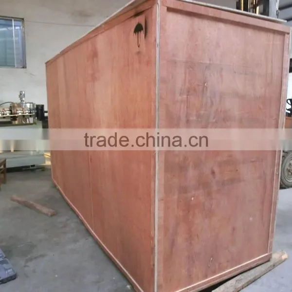 Jinan Eagle Cheetos Extruder photo-6