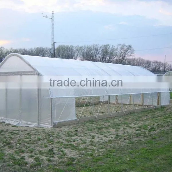 100mm Pvc Plastic Film Covered Tunnel Greenhouse For Private Agicultural Planting photo-6