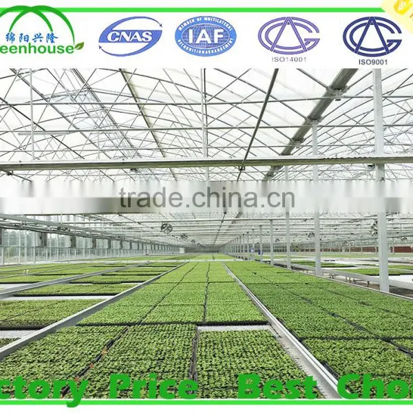 Galvanized Metal Steel Frame Material Greenhouse photo-3