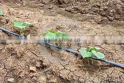 16mm/20mm Drip Irrigation Pipe Drip Pipe Drip Inline Pipe photo-6