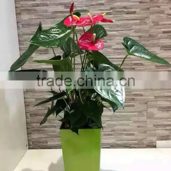 Made in China Round Baking Finish Self-watering Planters photo-4