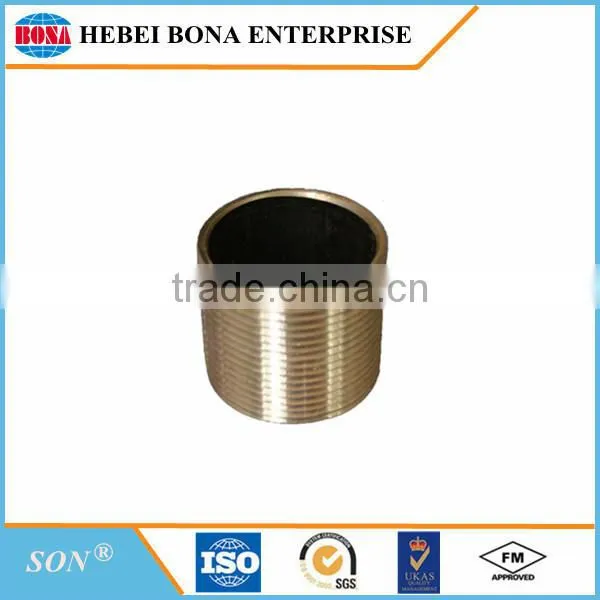 Popular Hot Dipped / Electric Galvanized Carbon Steel Pipe Nipples photo-6