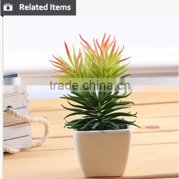 Factory Hot Sale Artificial Succulents Plants Mini Artificial Succulents photo-5