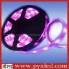 Waterproof&flexible 5050 Smd Led Strip