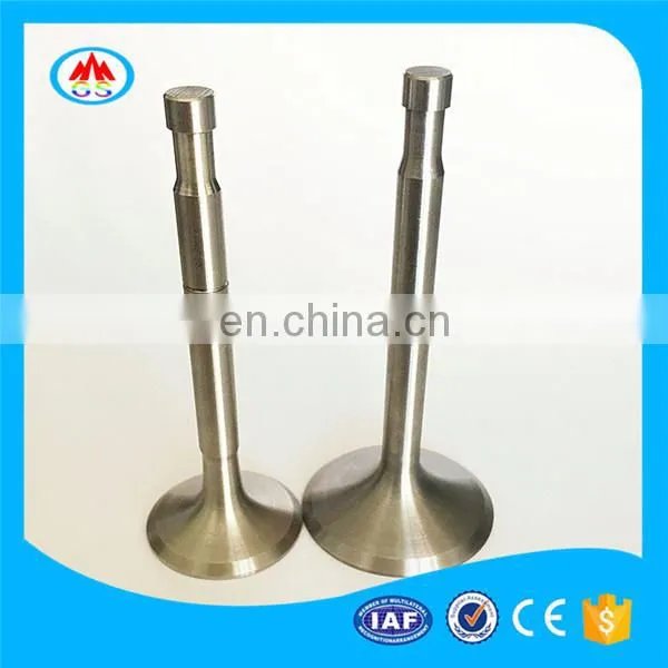 Manufacturer of Engine Valve for Nissann B3 Tsuru photo-2