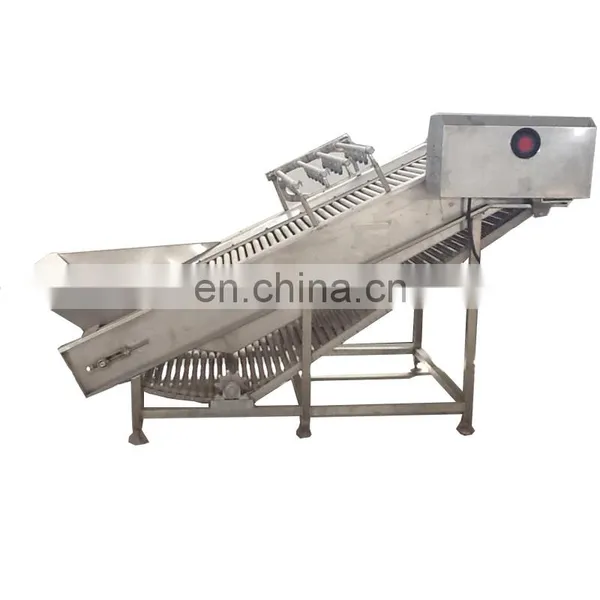 High Quality Dried Apple Slices Processing And Production Line Machinery And Equipment photo-4