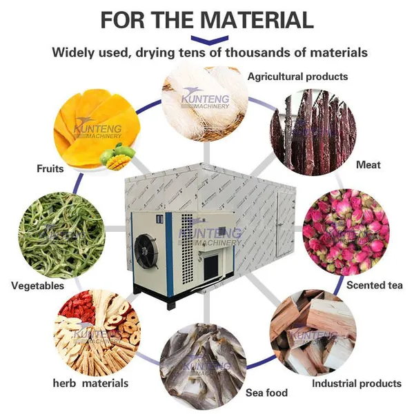 Fruit and Vegetable Drying Processing Machine Grape Raisin Drying Machine Mango Dryer Machine photo-5