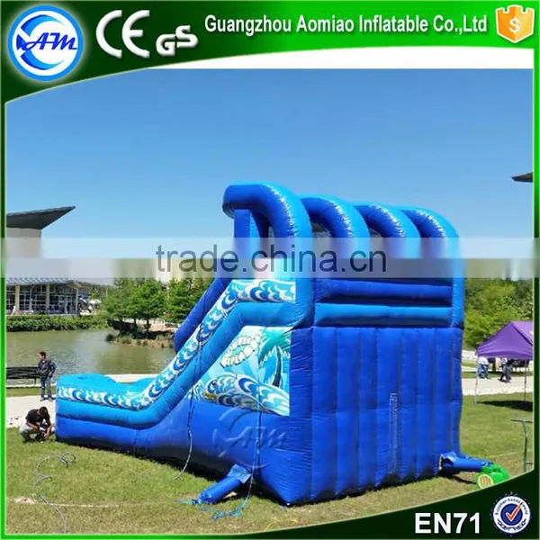 New Design Large Double Inflatable Water Slide,inflatable Titanic Slide Bounce Supplier's Choice photo-5