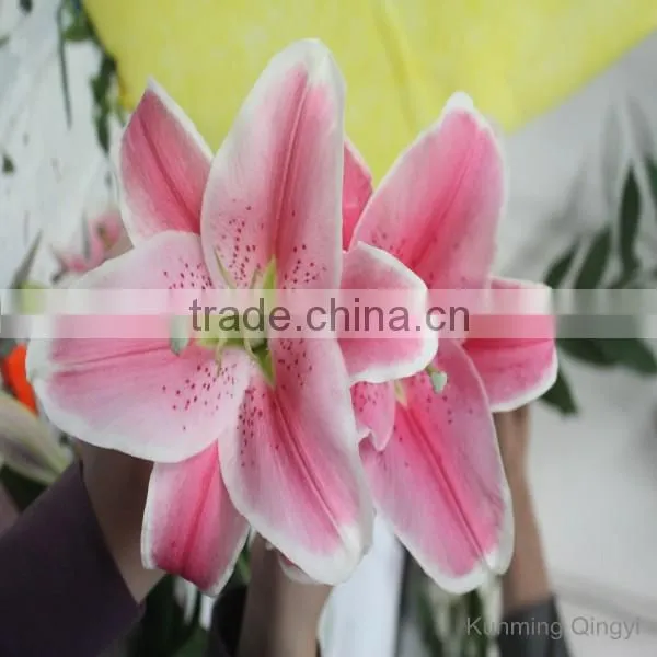Fresh Cut Flowers Lily Flower photo-2