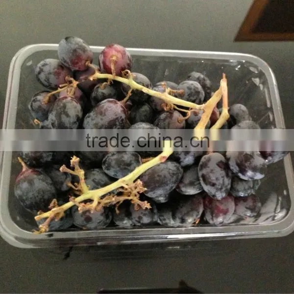 Supermarket Fruit Container photo-2