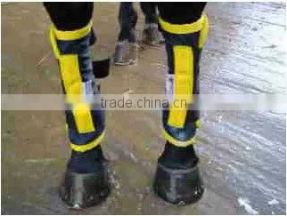 Horse Tendon Cold Therapy Boots
