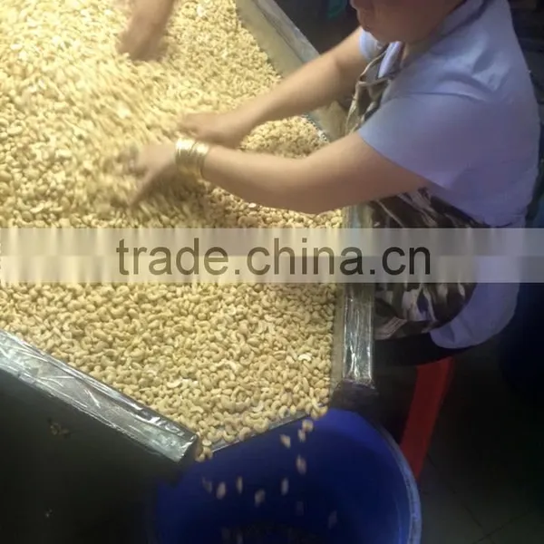 Cashew SP Vietnam photo-2