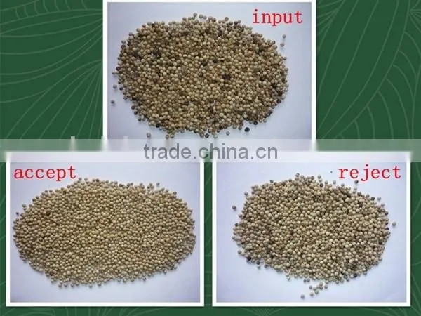 5000+pixel multifunctional velvet bean processing machine/vanilla bean sorting machine/jelly bean grader