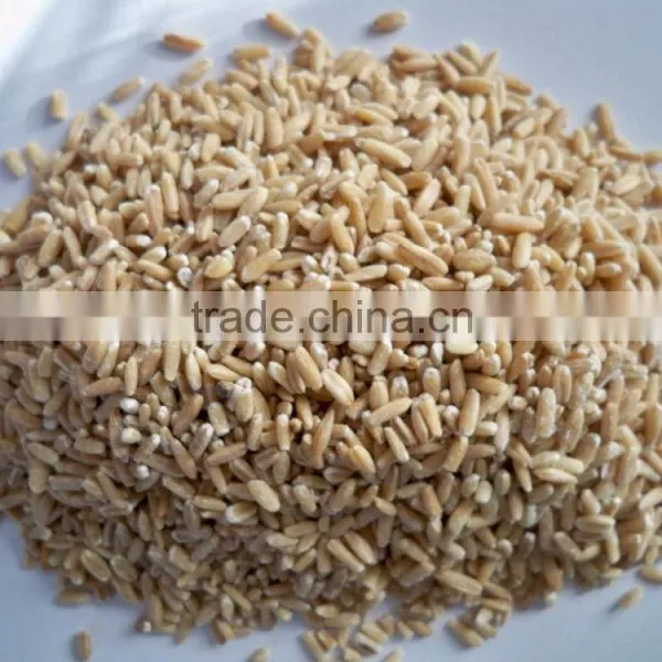 Hulled Oat From Ukraine photo-2