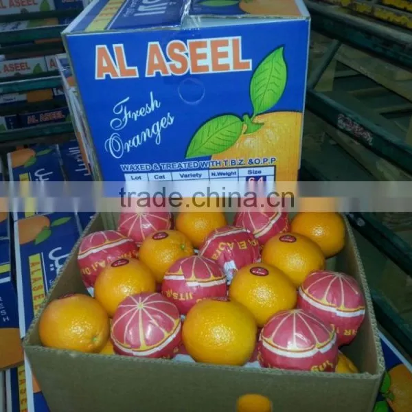 Avilable MOQ of Oranges and Lemons @ Forwell photo-4