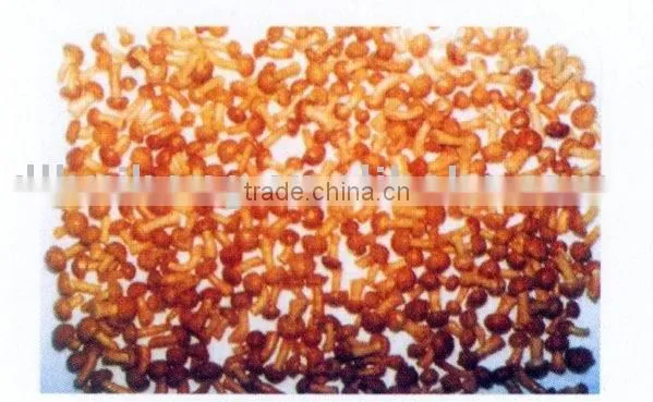 IQF Frozen NAMEKO