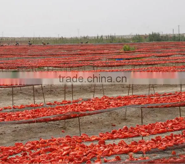 Natural Red Dried Tomato Wholesale Dehydrated