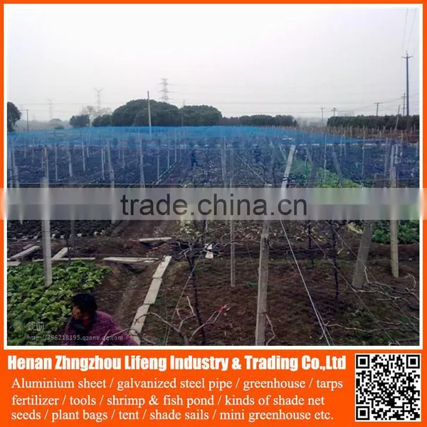 Best Selling 100% Virgin Hdpe / pe Net , Plastic Knitted Vineyard Anti Bird Netting photo-2