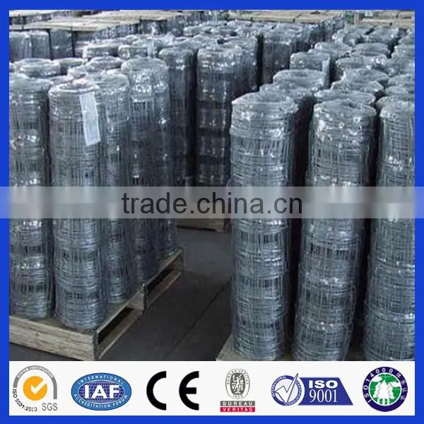 Factory Direct Deer Fencing Sale( Anping Factory ) photo-5