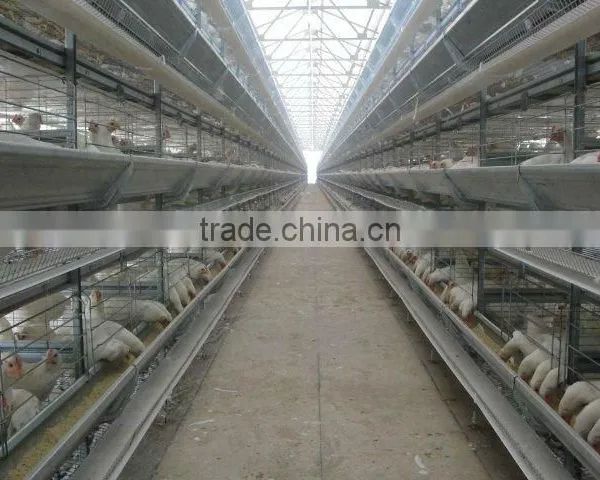 Poultry Cages