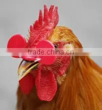 Hot Sale Chicken Eyewear Glasses