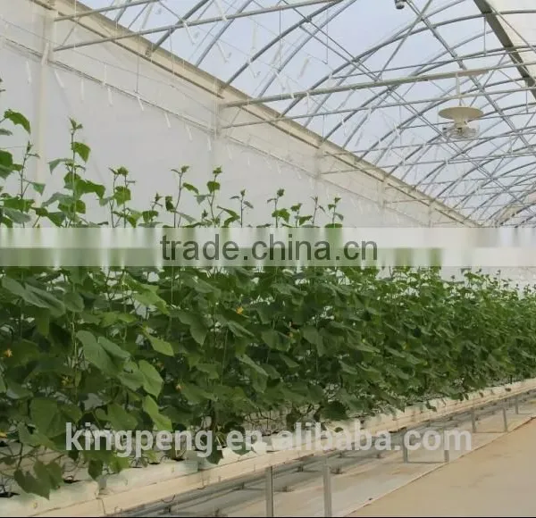 High Quality Multi-span Glass Greenhouse With Hydroponic System photo-2