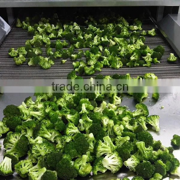 Vegetable Tunnel Freezer photo-2
