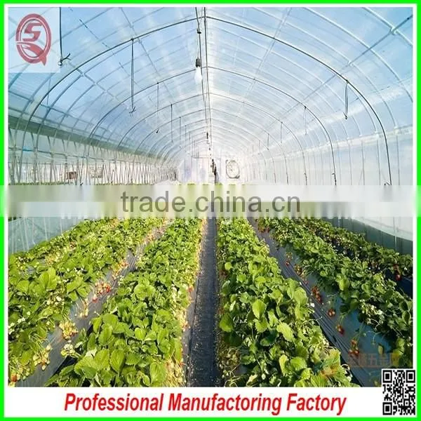 China Multi/single Span Plastic Film Greenhouse Agriculture for Sale photo-5