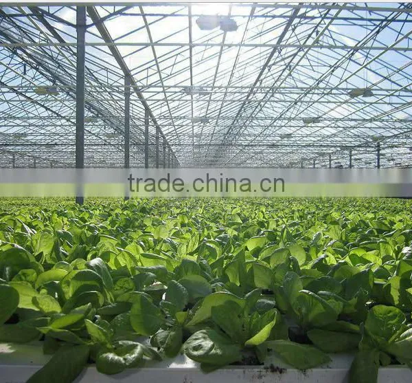 China Used Greenhouse Frames for Sale photo-2