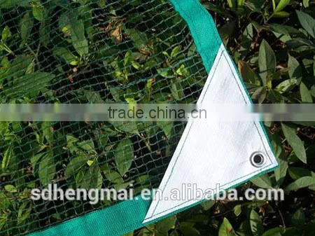 China Direct Factory HDPE / Longterm Usage/ Olive Net photo-5