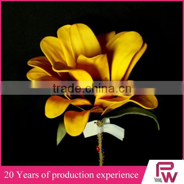 Wholesale High Quality Flower Natural Preserved Flower Manufacturer China photo-6
