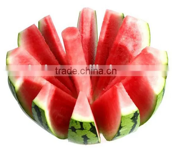 Stainless Steel Water Melon Slicer photo-3