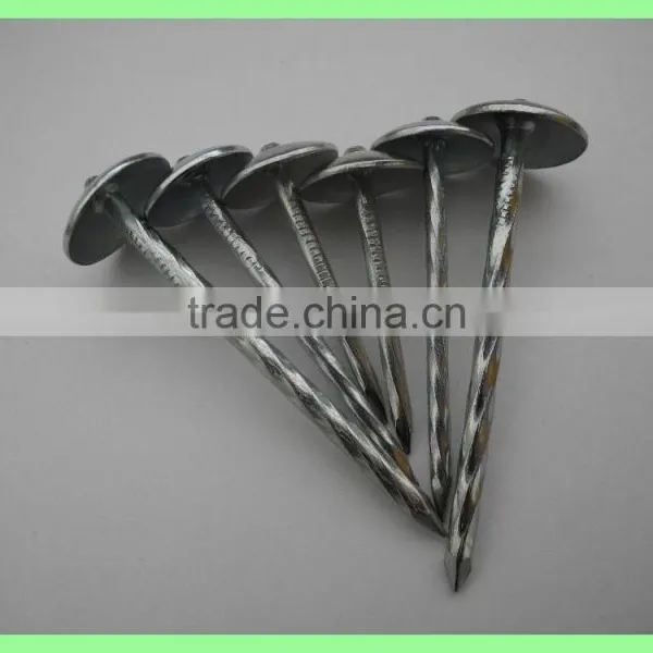 Kenya Umbrella Roofing Nails photo-3