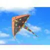 Cyclopterus Lumpus Kite