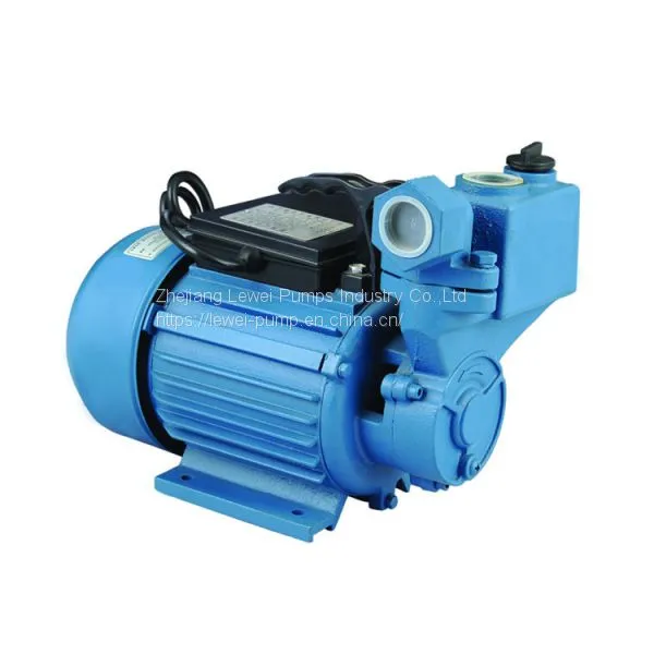 Rowal WZB surface pump self-priming vortex water pump