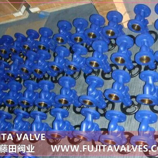 BSA2 Globe Valve