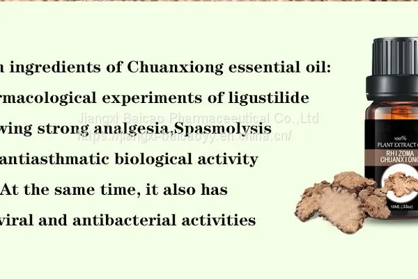 Chinese Supplier Pharmaceutical Grade 100% Pure Natural Chuanxiong Oil photo-3