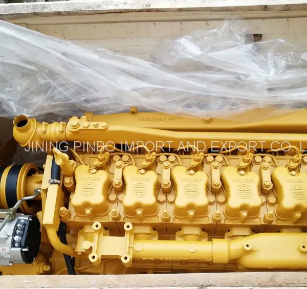 High Quality Charger Main Engines Weichai WD10G220E22 Diesel Motor photo-3