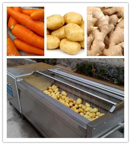 Factory Genyond Sweet Potato/ Onion/walnut/ Carrot Brush Washer Washing Machine Peeling Cleaning Machine photo-2