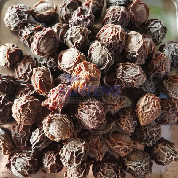 Air Blower Dryer Machine to Dry Fruits and Vegetables Dried Veggies Guava Betel Shea Nut Longan Drying Machine EPC photo-3