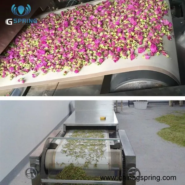 Factory Direct Industrial Microwave Drying Machine for Food Chemical Agricultural Processing 2450MHz / 915MHz photo-3