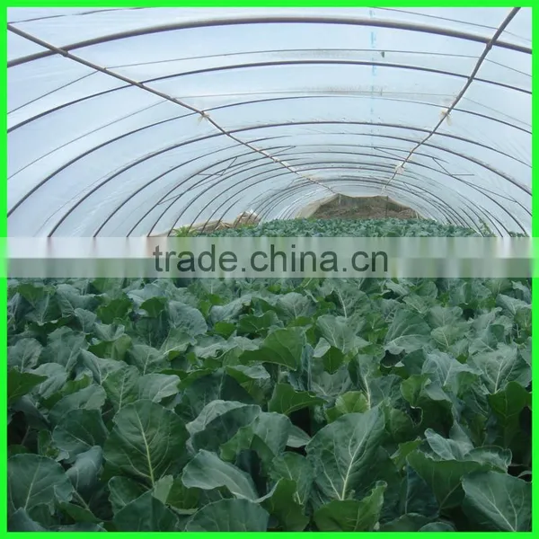 5 Years Use Time Woven Greenhouse Cover,plastic Film for Agricultural photo-4
