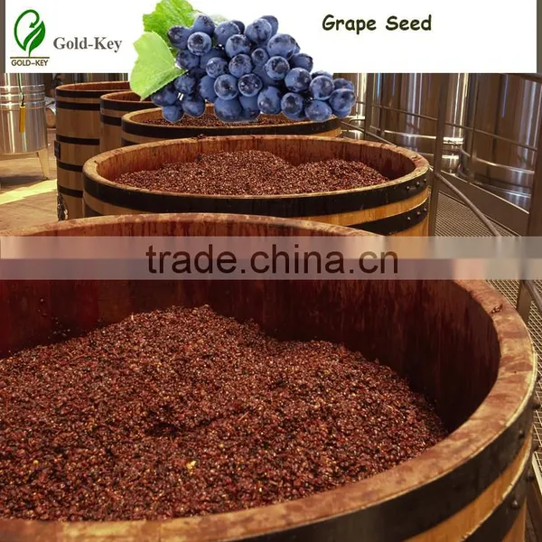 Cold Pressed Grape Seed Oil for Best Base Oil and Health Care Products photo-2