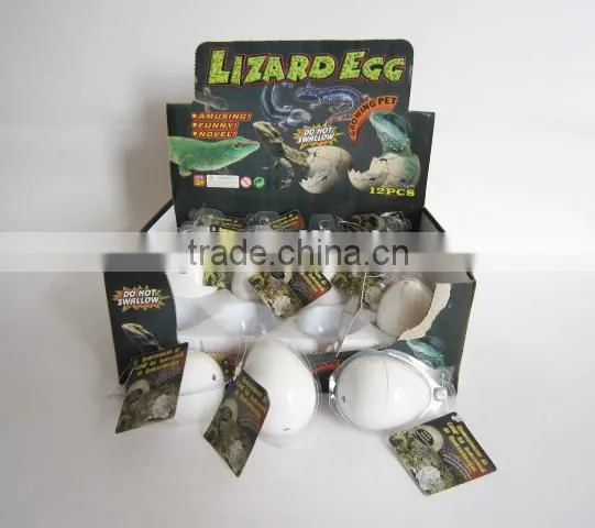 2015 Novelty Growing Easter Fowl Hen Grow in Water photo-4