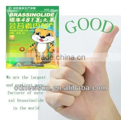 Natural Brassinolide, First and Largest Natural Brassinolide Manufacturer
